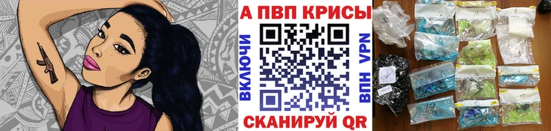 Купить  Нолинск  А ПВП крисы CK 