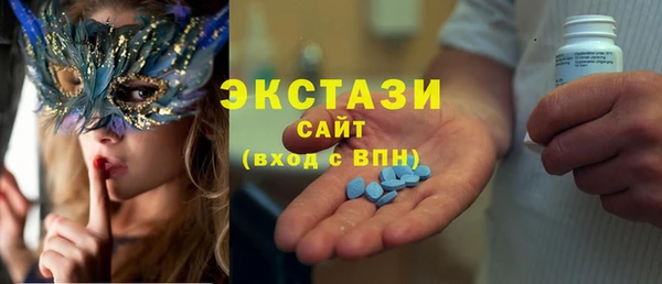 ECSTASY Бородино
