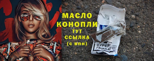 ECSTASY Бородино