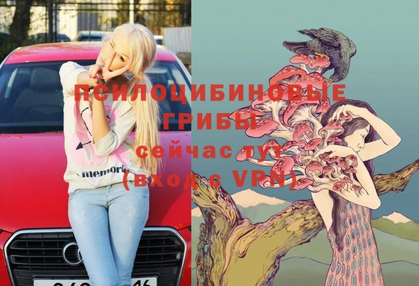 ECSTASY Бородино