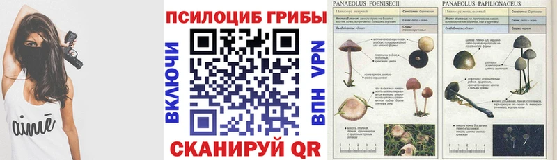Псилоцибиновые грибы прущие грибы  Купить  Нолинск 